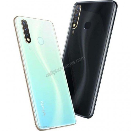 Vivo Y19 Variant Color